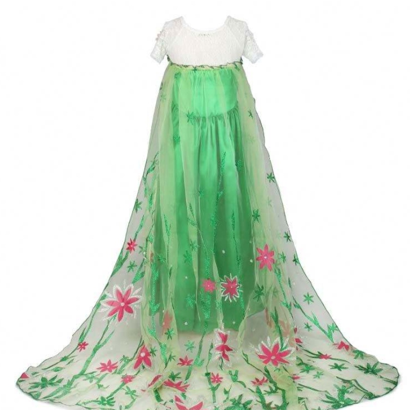 Amazon Top Seller Girl 's Birthday Dress Kostüm Prinzessin Anna Kinder Kleid Elsa für 4-10 Jahre HCGD-019