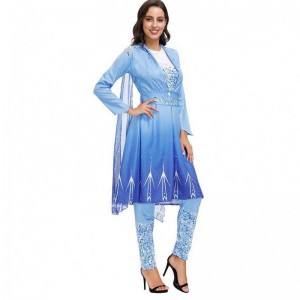 2022 Neuankömmlinge Erwachsene Schnee Königin Elsa Cosplay Halloween Kostüm Frauen HCGD-055