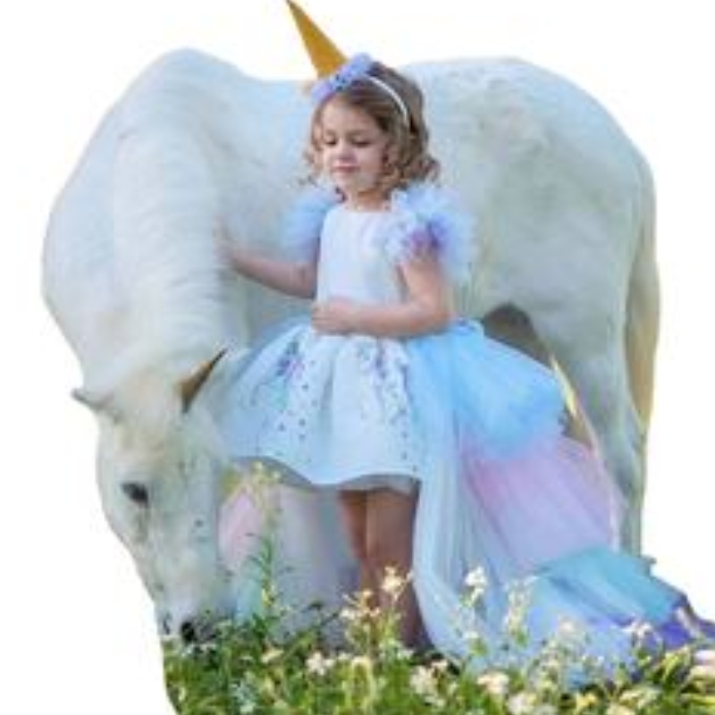 Einhorn -Partykleid für Mädchen Kostüm Baby Sommerkleid Kinder elegantes Mädchen tragen Prinzessinkleid mit langem Zug