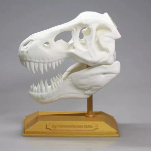 Kunststoff Prototyping 3D Modelle Druck Service