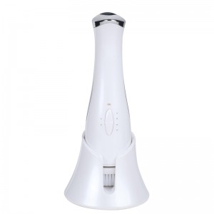 ELEKTRISCHE GESICHTSMASSAGE