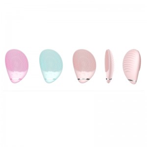 Siliziumgesichtsbürste