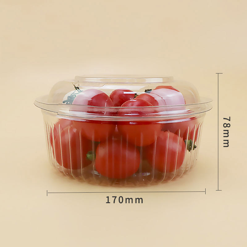 Plastikabstimmung transparent frische Obstpackungspackungsbehälter Obstbox