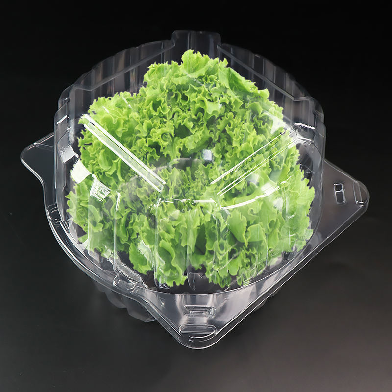 Transparent RPET oder Haustier Clamshell Blisterbehälter für 1 Pfund Salat Kräutersalat -Blattverpackungsschachtel