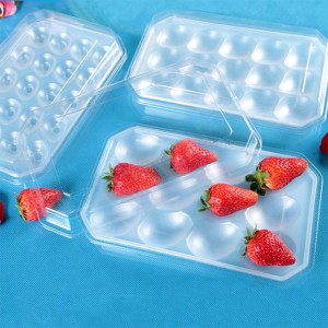 Großhandel Einweg -Clear -Plastikfrucht -Blister -Tablettverpackungsbehälter mit Deckel