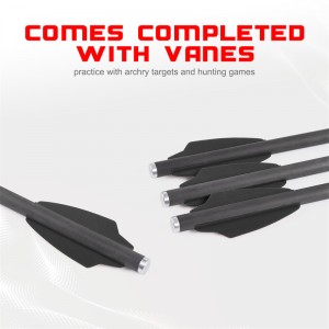 Elongarrow 119612-02 16 cm Carbon Pfeilschrauben mit 2pcs 1,65-Zoll-Schwarze Schaufel