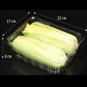 Keine Abdeckung Deep Tably 220*170*60 mm Hgf-2217