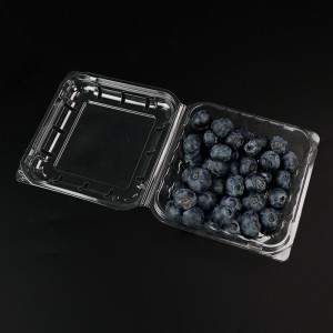 Blueberry Box Obstbox mit Deckel 103*108*42 mm Hgf-125b
