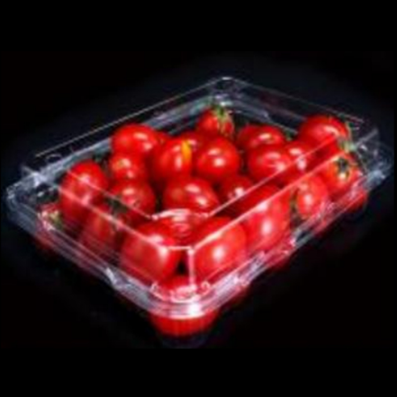 Obstbox mit Deckel 175*135*50 mm Hgf-300m-2