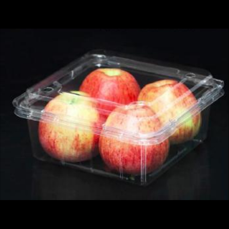 Obstbox mit Deckel 180*175*85 mm Hj-850c