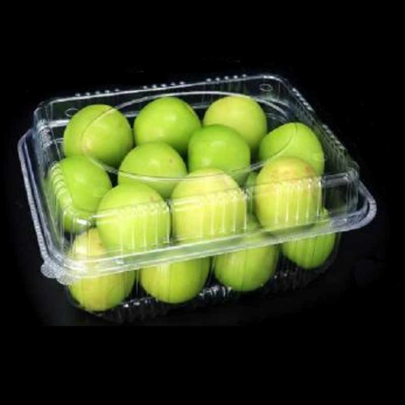 Obstbox mit Deckel 230*175*90 mm Hgf-1000a