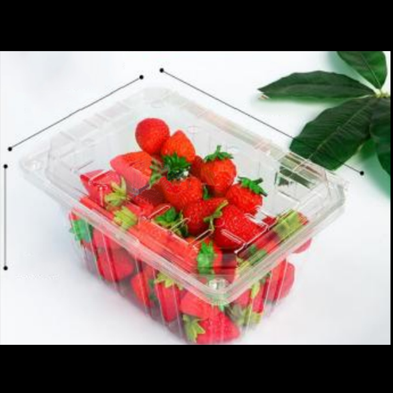 Obstbox mit Deckel 210*155*100 mm Hgf-950a