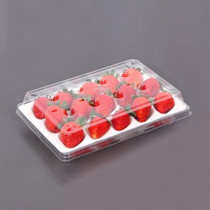 Erdbeerbox (15 Erdbeeren) 225*120*40 mm cm-15