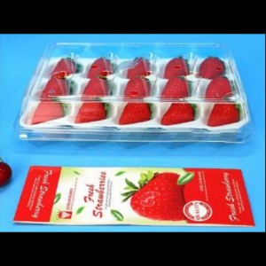 Erdbeerbox (15 Erdbeeren) 225*120*40 mm cm-15