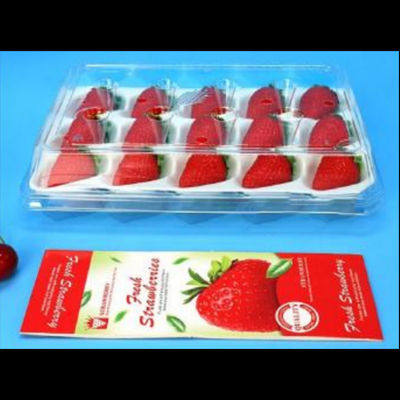 Erdbeerbox (15 Erdbeeren) 225*120*40 mm cm-15
