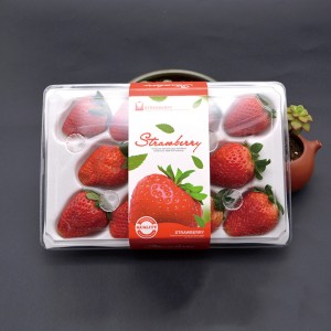 Erdbeerbox (11 Erdbeeren) 225*120*40 mm cm-11