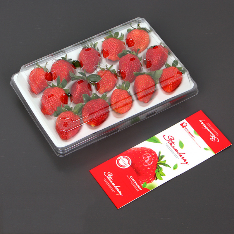 Erdbeerbox (15 Erdbeeren) 225*120*40 mm cm-15
