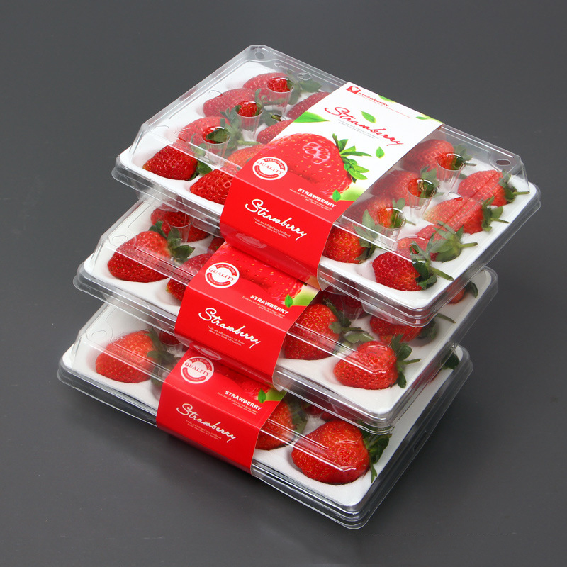 Erdbeerbox (20 Erdbeeren) 225*120*40 mm cm-20
