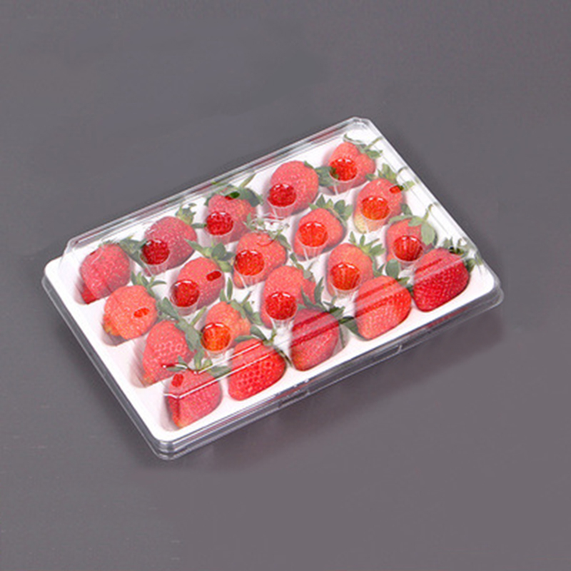 Erdbeerbox (20 Erdbeeren) 225*120*40 mm cm-20