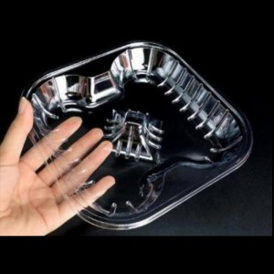 Slotted Obstschale ohne Deckel 180*180*25 mm Hgf-4a (75)