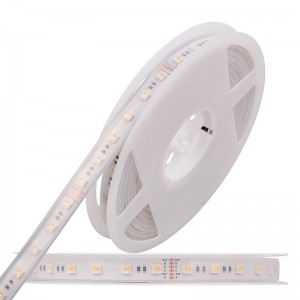 5050 60LEDS/M WRGBWW LED -Streifen