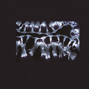 LED -Weihnachtslicht -Set