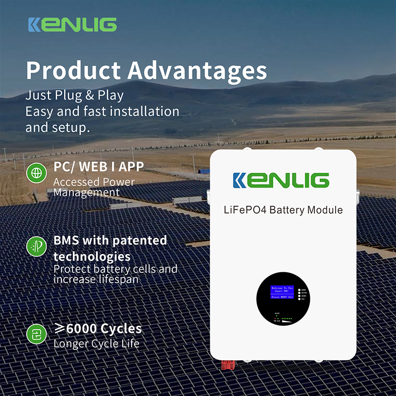 Warum für Lithium -Eisen -Phosphat -Batterien?wählen