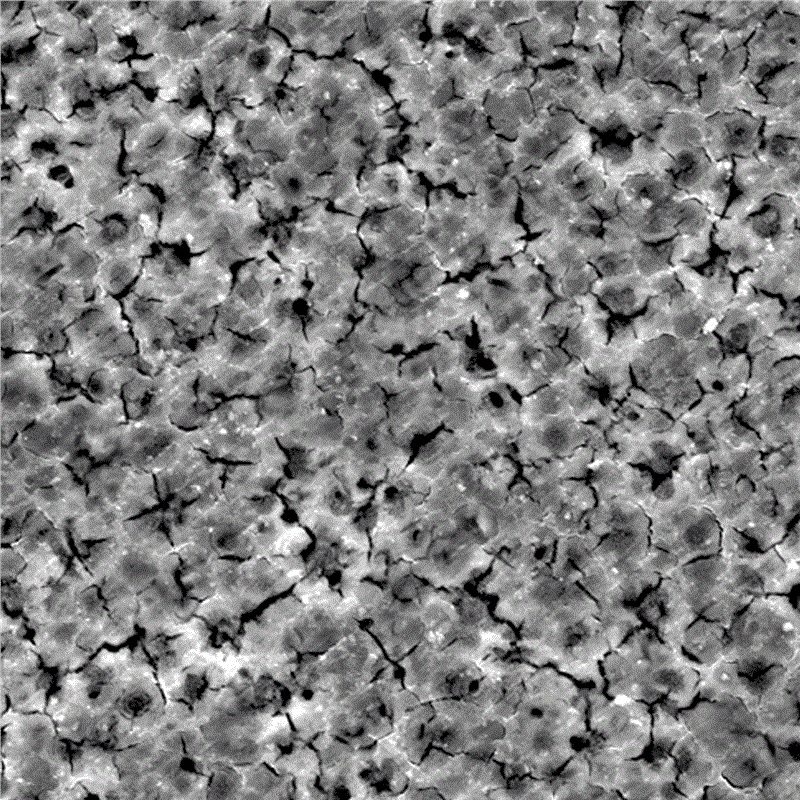 Sprühtechnologie der Magnesiumlegierung
