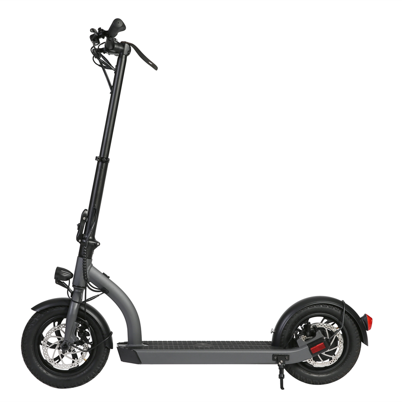 H8- 12 Zoll 48 V Electric Scoooter/können EN17128/EU-Patent passieren