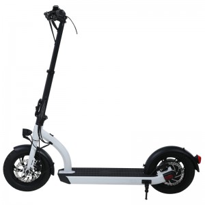 H8- 12 Zoll 48 V Electric Scoooter/können EN17128/EU-Patent passieren