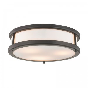 Delta Hotel Deckenlampe mit dunkler Bronze -Finish im Gästezimmer und Korridor