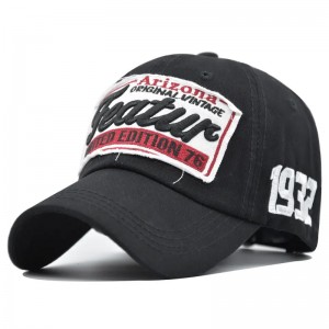 Unisex einstellbare Baumwolle Customized 6 Panel ausgestattete Baseball -Kappenhüte mit benutzerdefiniertem Sticklogo