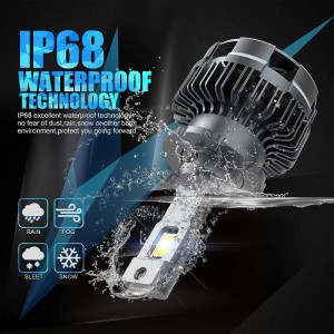 D4S/r LED -Scheinwerferlampen