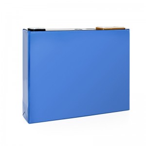 GOTION 3,2V 50A LIFEPO4 Prismatische Zell -Solarenergie -Speichersysteme Aufladen Lithiumbatterie