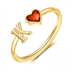 Hongde Initialringe für Damen, 14 Karat vergoldet, Geburtssteinringe, verstellbare Größe-10