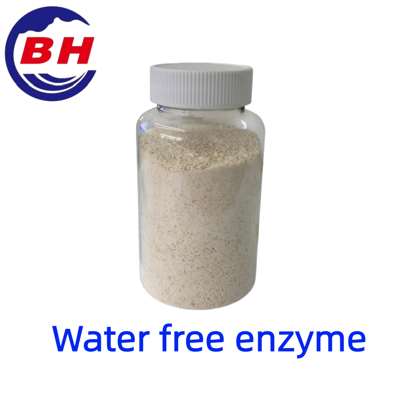 Wasserfreies Enzym H8811