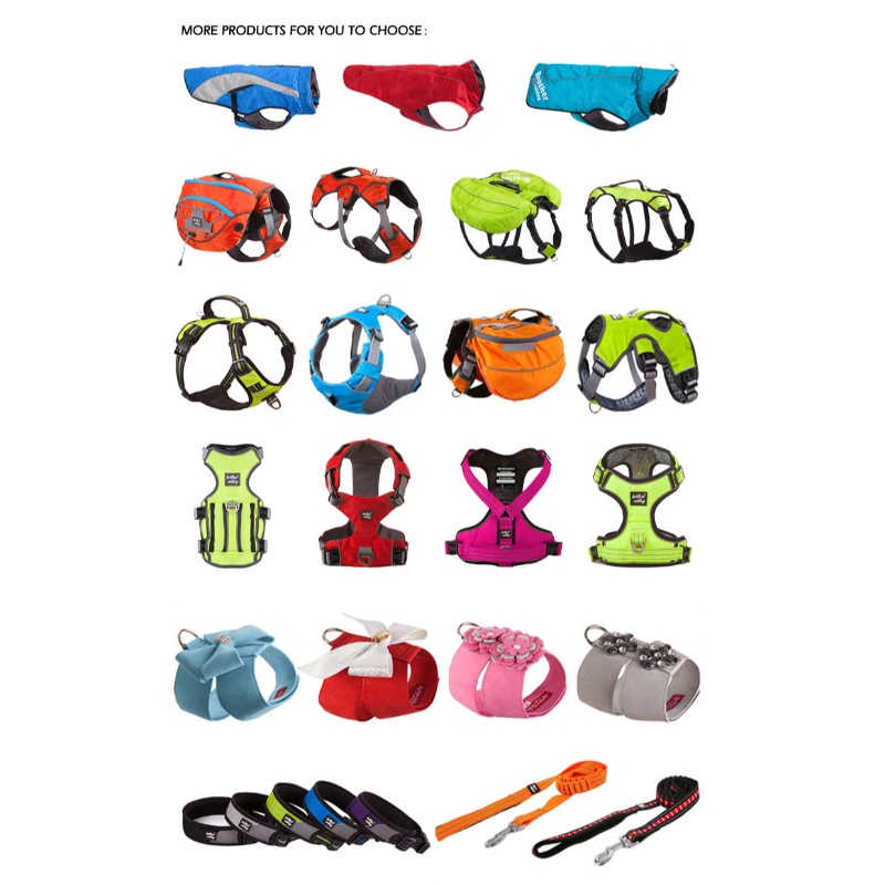 1647618234.jpg dog walking product pet accessories.jpg