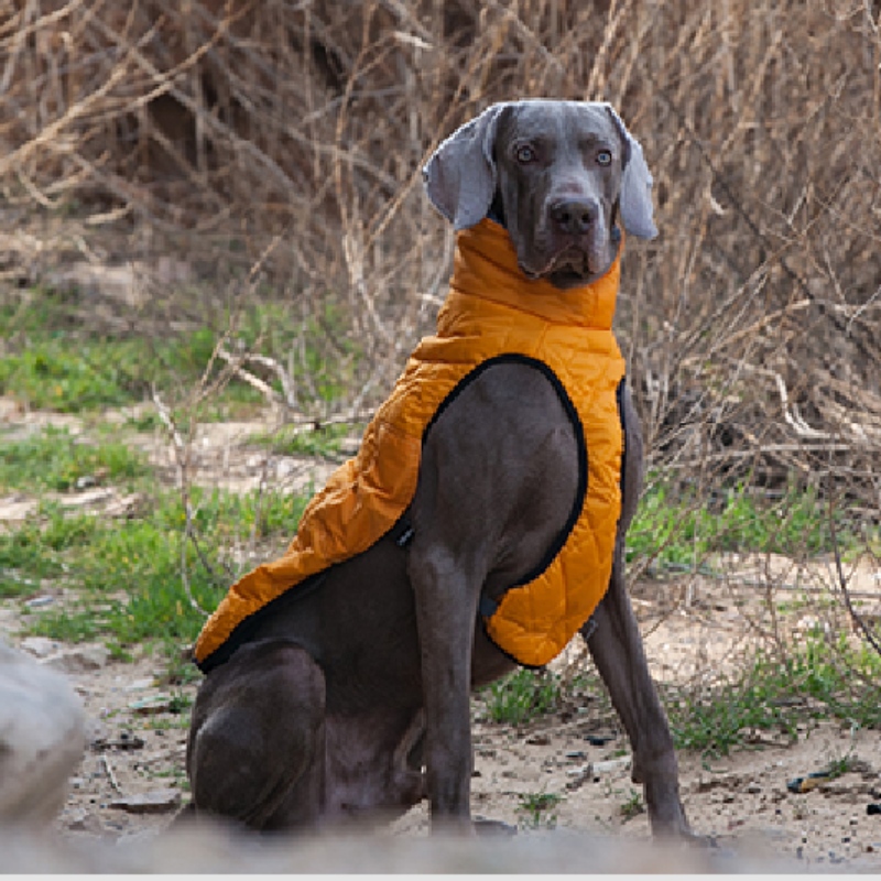 1647619752.jpg zmkm-800_800(5).jpg