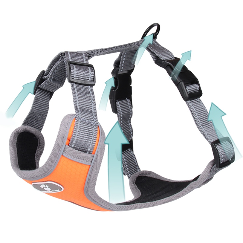 1647789276.jpg pet shop online.jpg