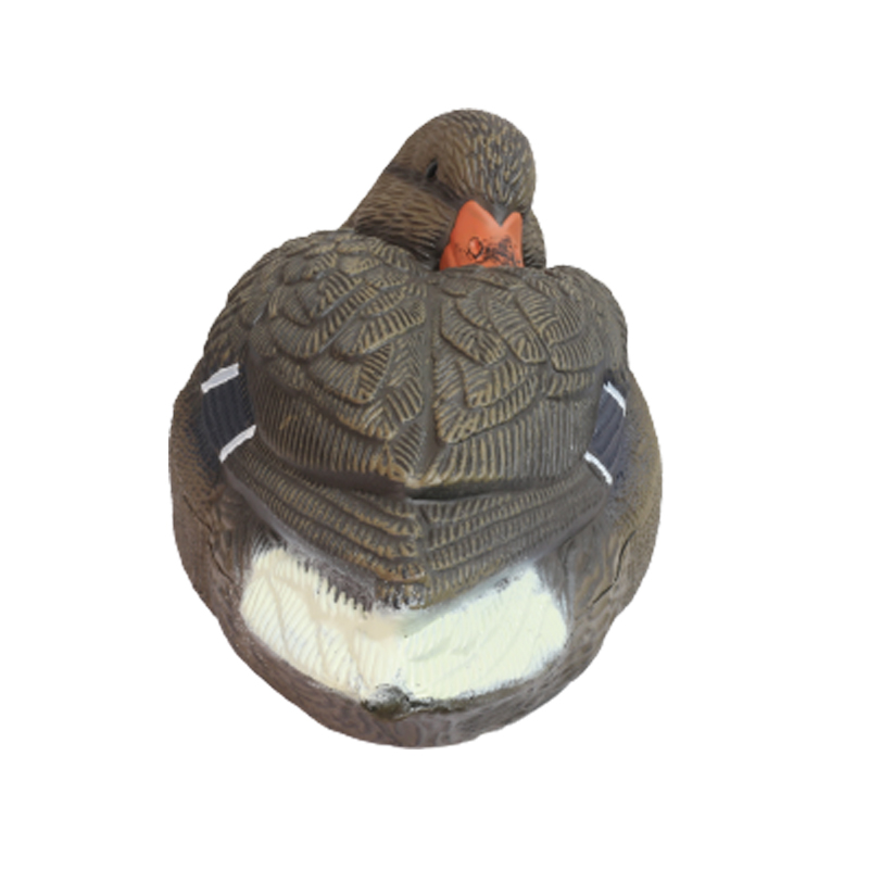 1633673647.jpg duck1-3.jpg