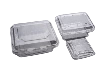 1668159250.png x.png