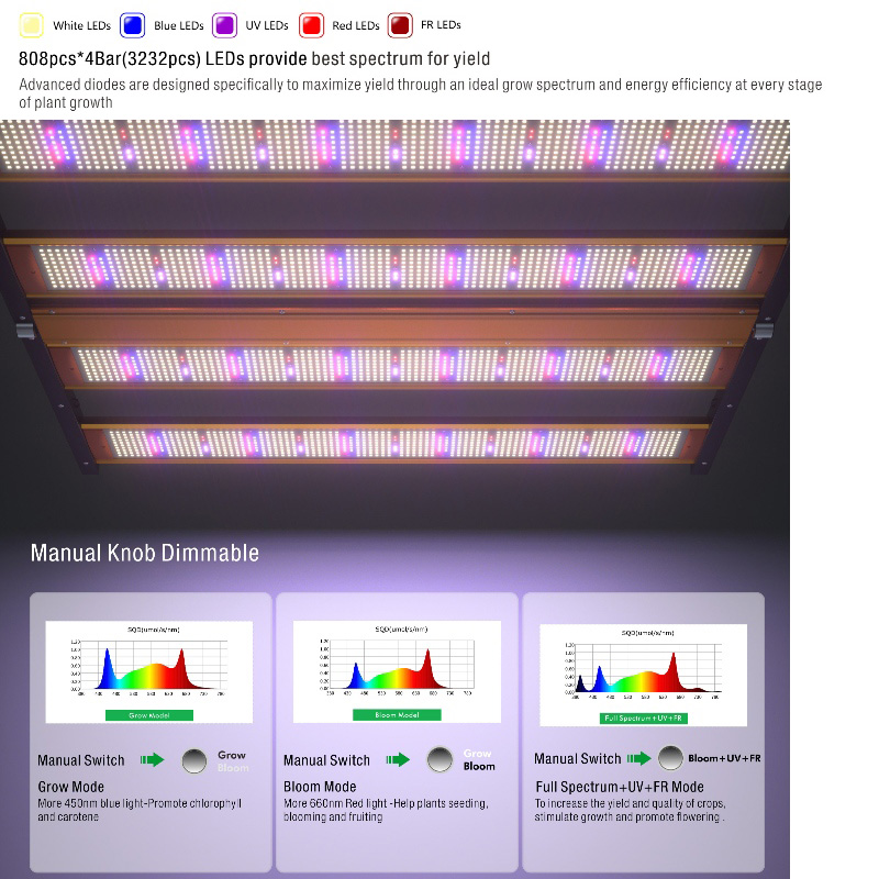 1704356142.jpg 3.jpg