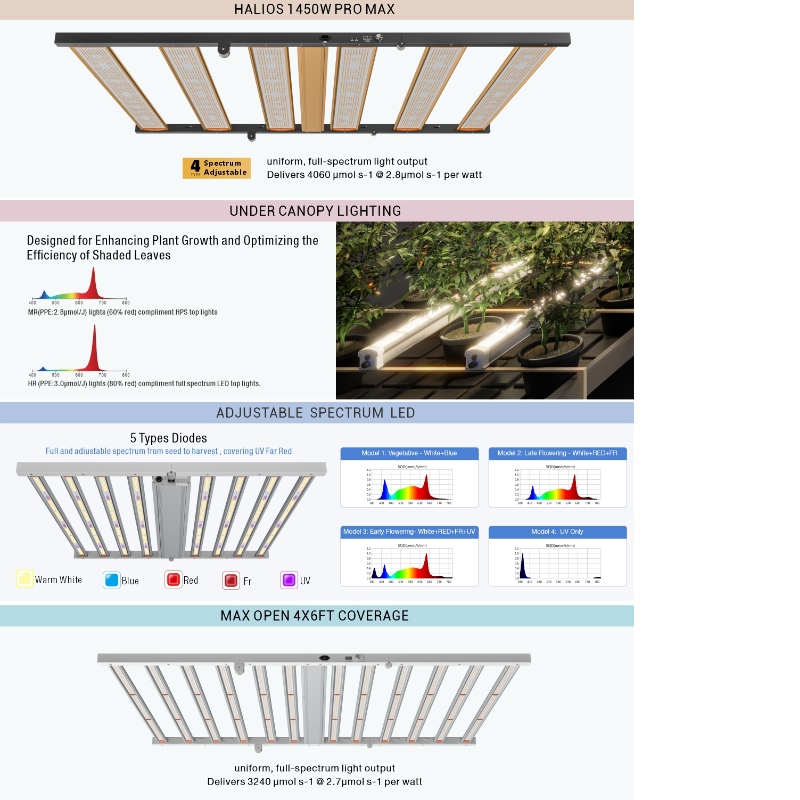 1705398789.jpg 1.jpg