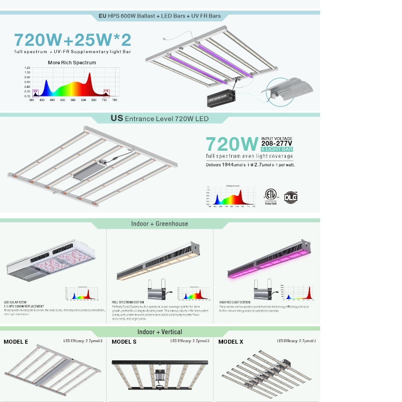 1705398800.jpg 2.jpg