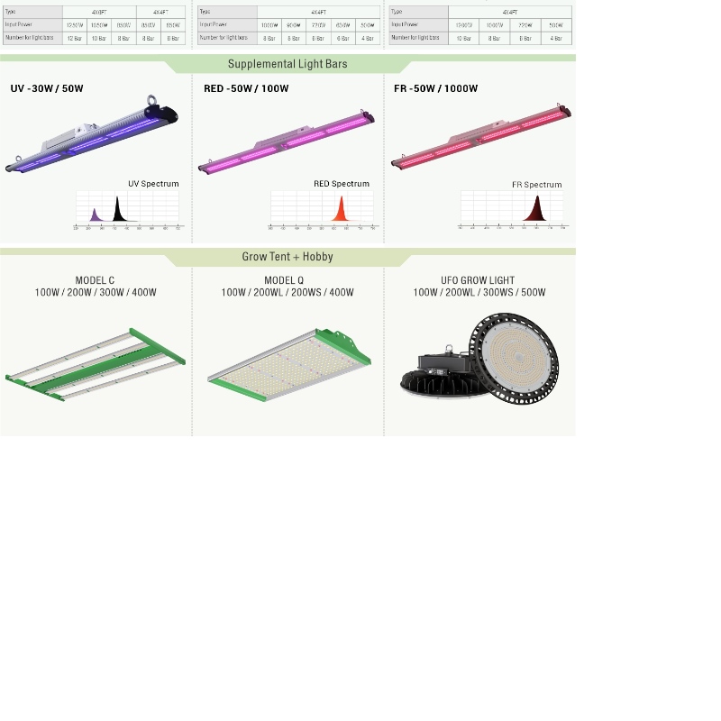 1705398810.jpg 3.jpg