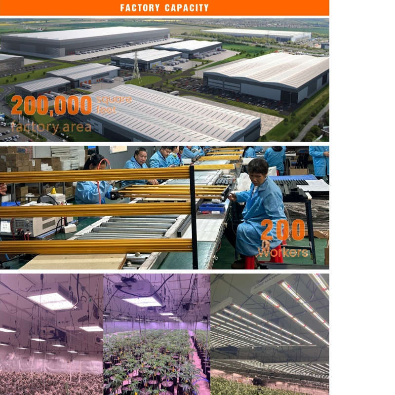 1705399172.jpg 001.jpg