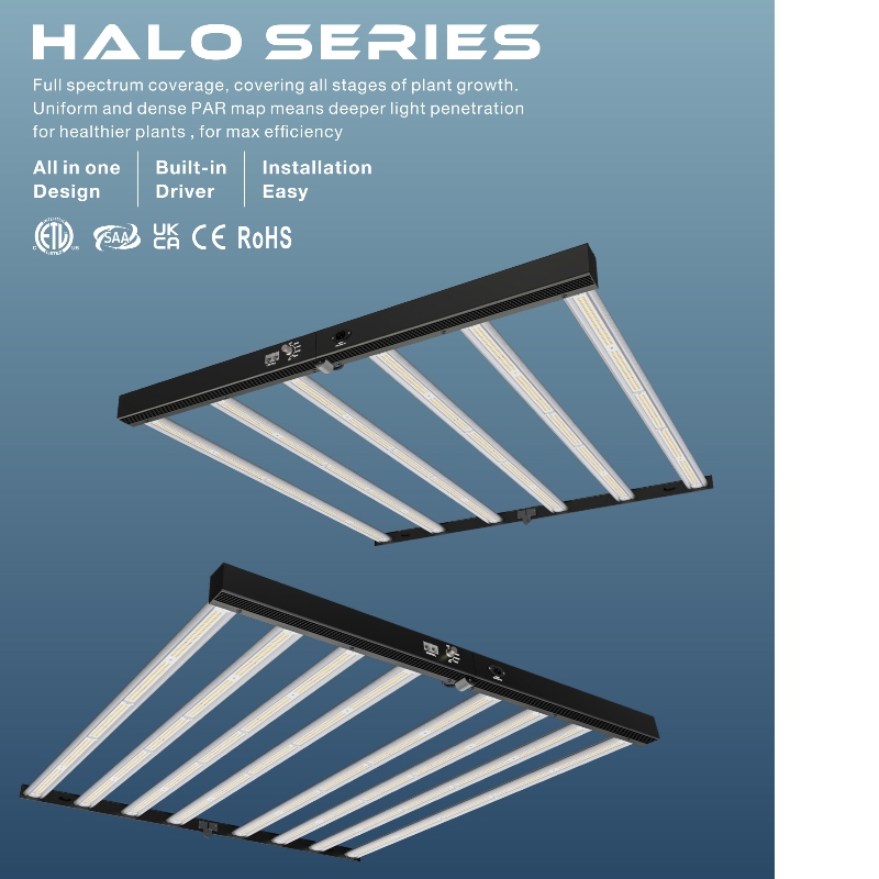 1706594581.jpg 5.jpg