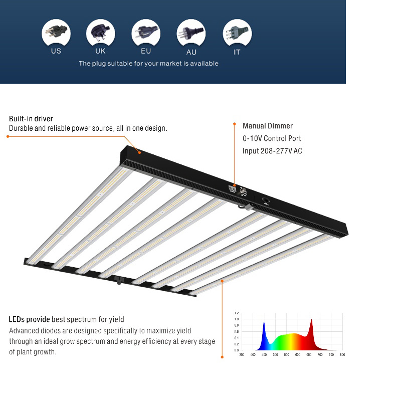 1706594607.jpg 6.jpg